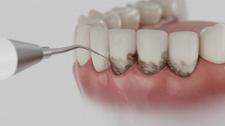 Reliable Dental contractor in Goodrich, MI by Dentist Open Now